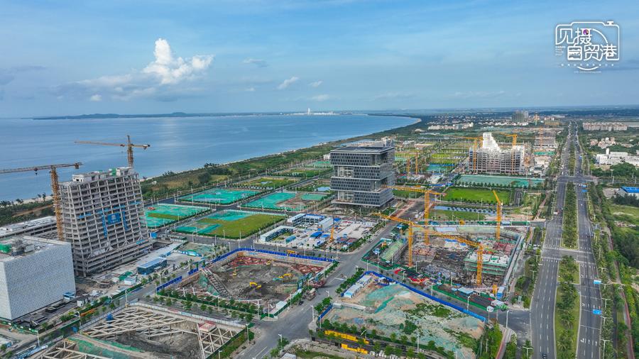见摄自贸港｜海口江东新区项目专员“接单”为企业“跑腿”