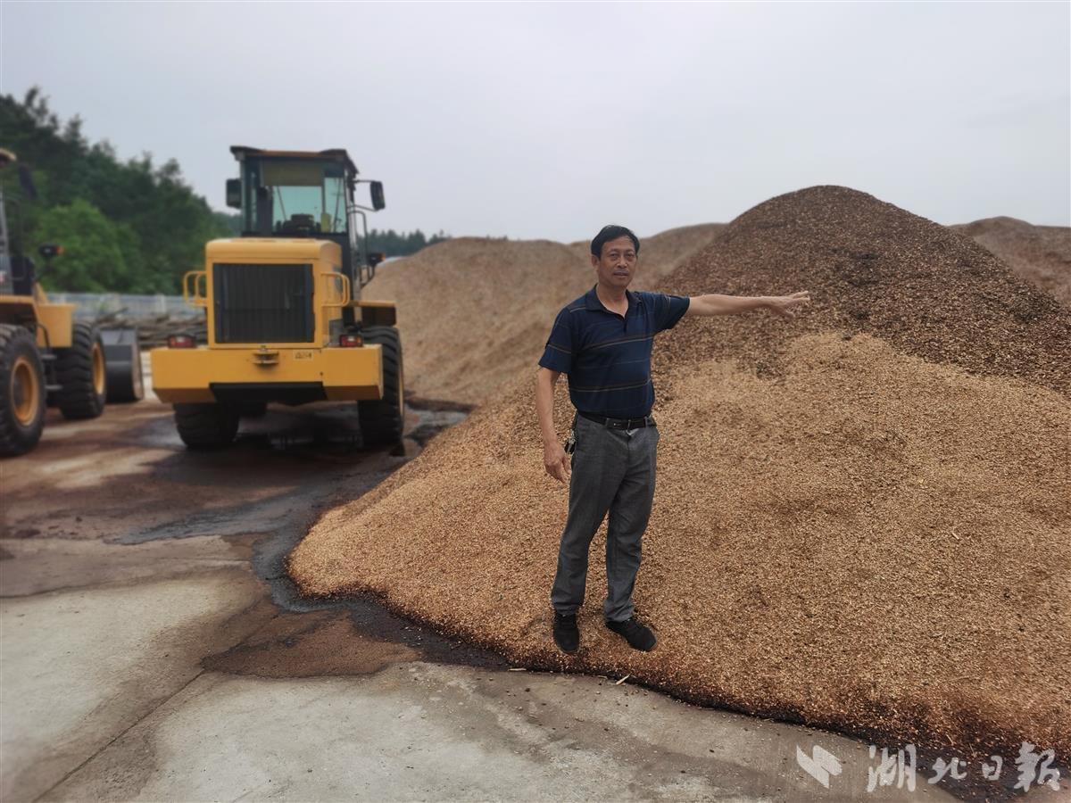 安全与“绿色”并驾齐驱，利用与富民结伴而行——十堰市74座闭（销）库尾矿库绿色转型调查