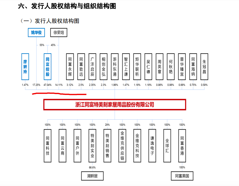 特美刻贴牌,特美刻营销战略