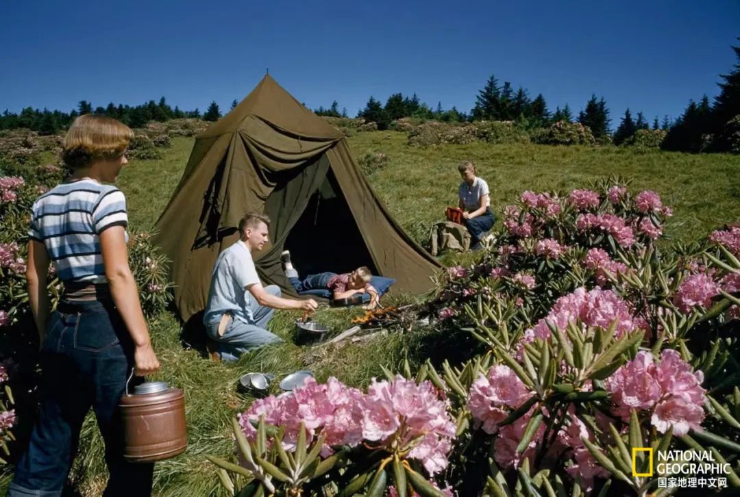 电影诞生以来最伟大的30部作品,最伟大的作品详解