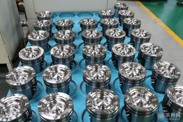 渤海活塞介绍,渤海牌活塞