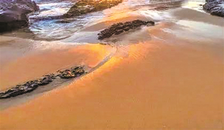 之乎者也的小说,知乎者也的观点