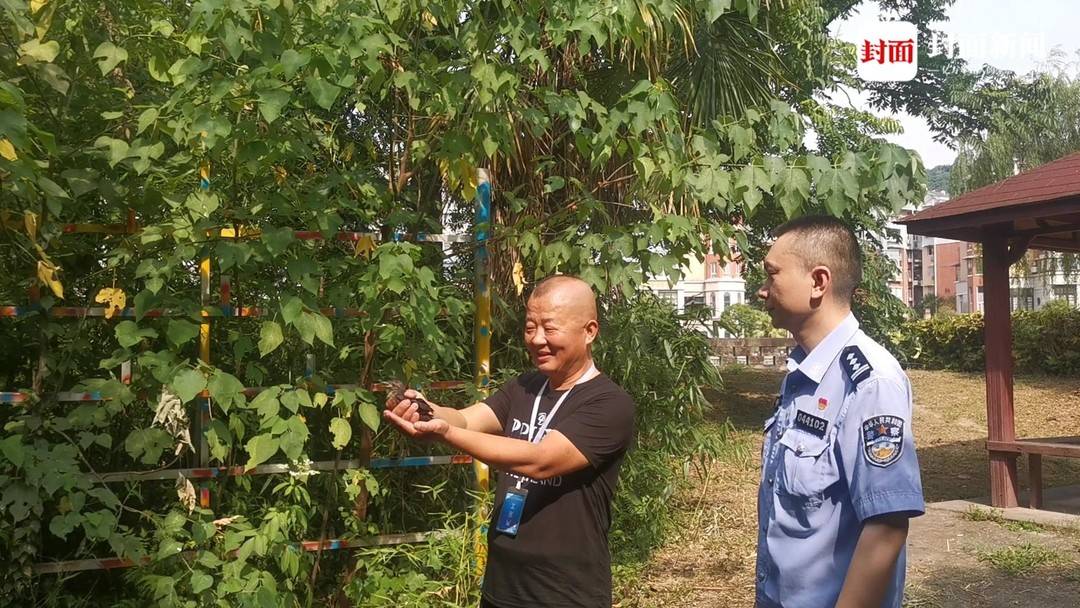 3年前救助过的流浪猫回来了,3只被救助丹顶鹤在中国北疆放飞