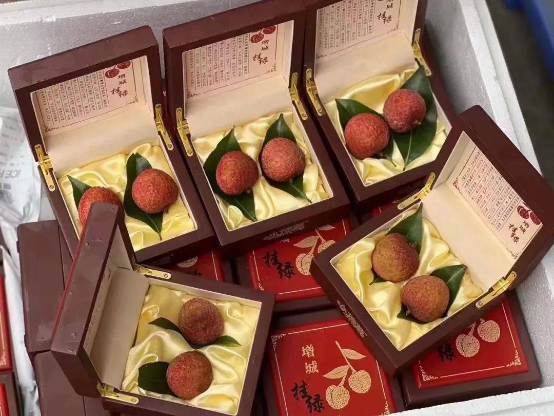 荔枝的鄙视链,荔枝100元一颗