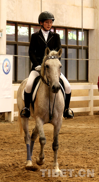 藏马运动会,藏北赛马节比赛视频