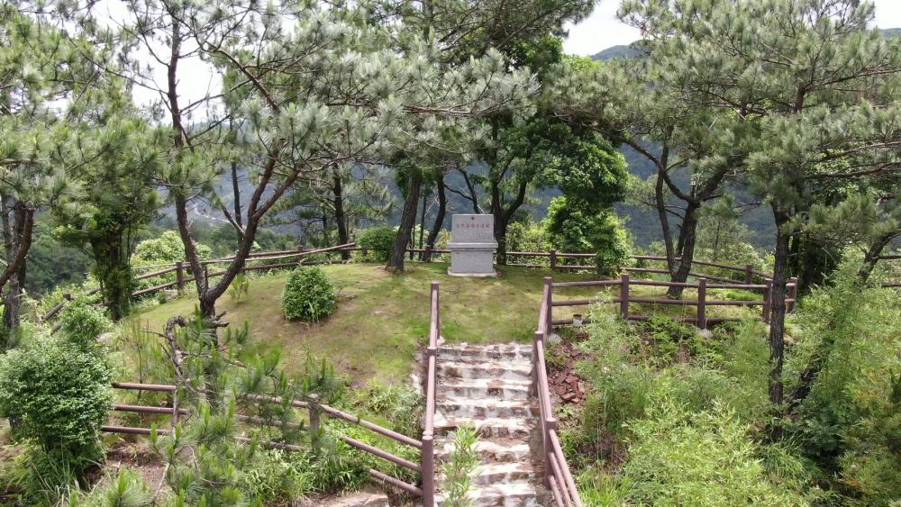 闽东之光｜郑承东：一条路的血色九贝（二）