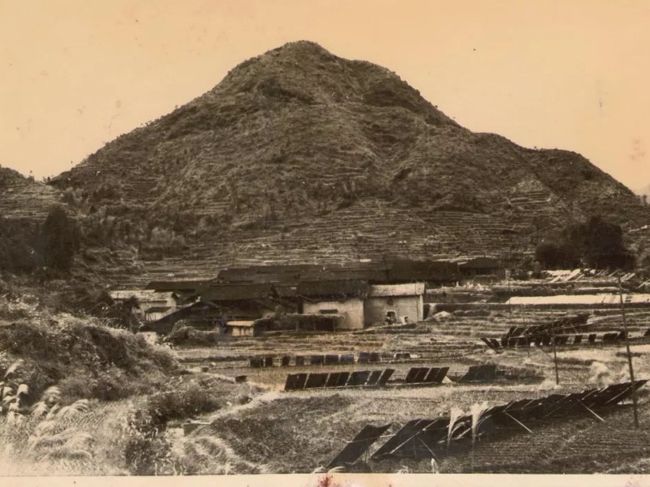 闽东之光｜郑承东：一条路的血色九贝（二）