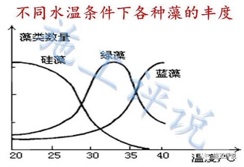 赞!一天一个价,江苏30条对虾冲到24块!南方也缺货,下个月还会持续涨价?但虾农如何熬过高温天?