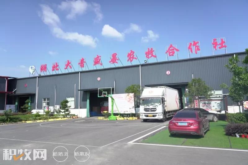 大音盛晏合作社：持续推进“种养产销”一体化产业链建设，蛋品深加工车间已开始建设