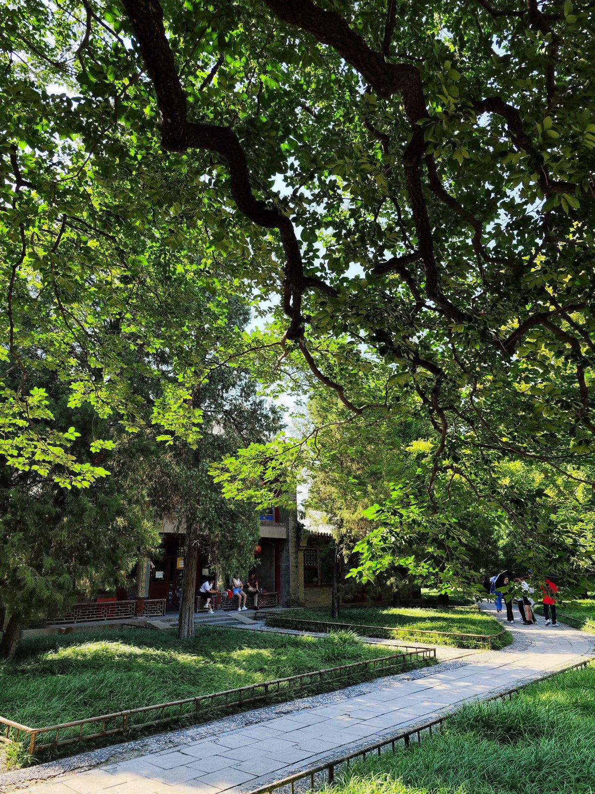 灏忕背12sultra鎷嶇収鍘绘帀灏忕背logo,灏忕背灏忕背12sultra璇勬祴