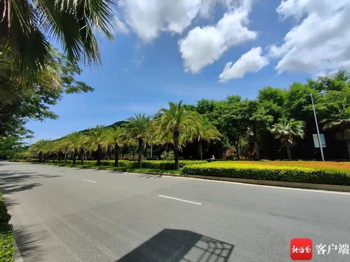 名字太俗？三亚“狗岭路”改名之争，你站哪边？