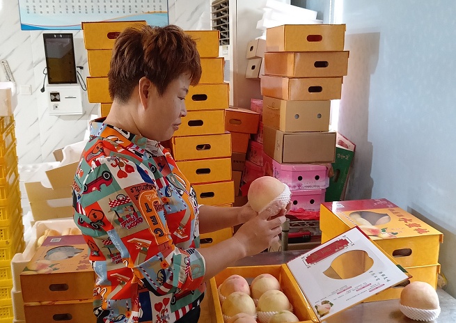 深·看｜难得举城作一庆，苏城双拥花开别样红