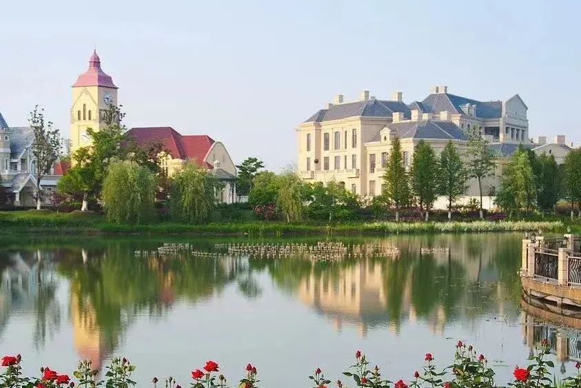 苏州赏花旅游攻略一日游,苏州花海旅游攻略