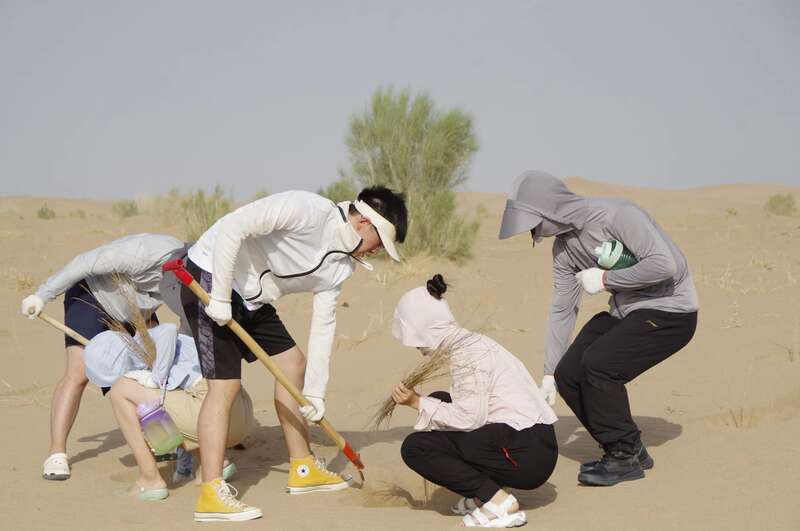 腾格里和巴丹吉林沙漠孕育出绿洲,民勤腾格里沙漠绿洲