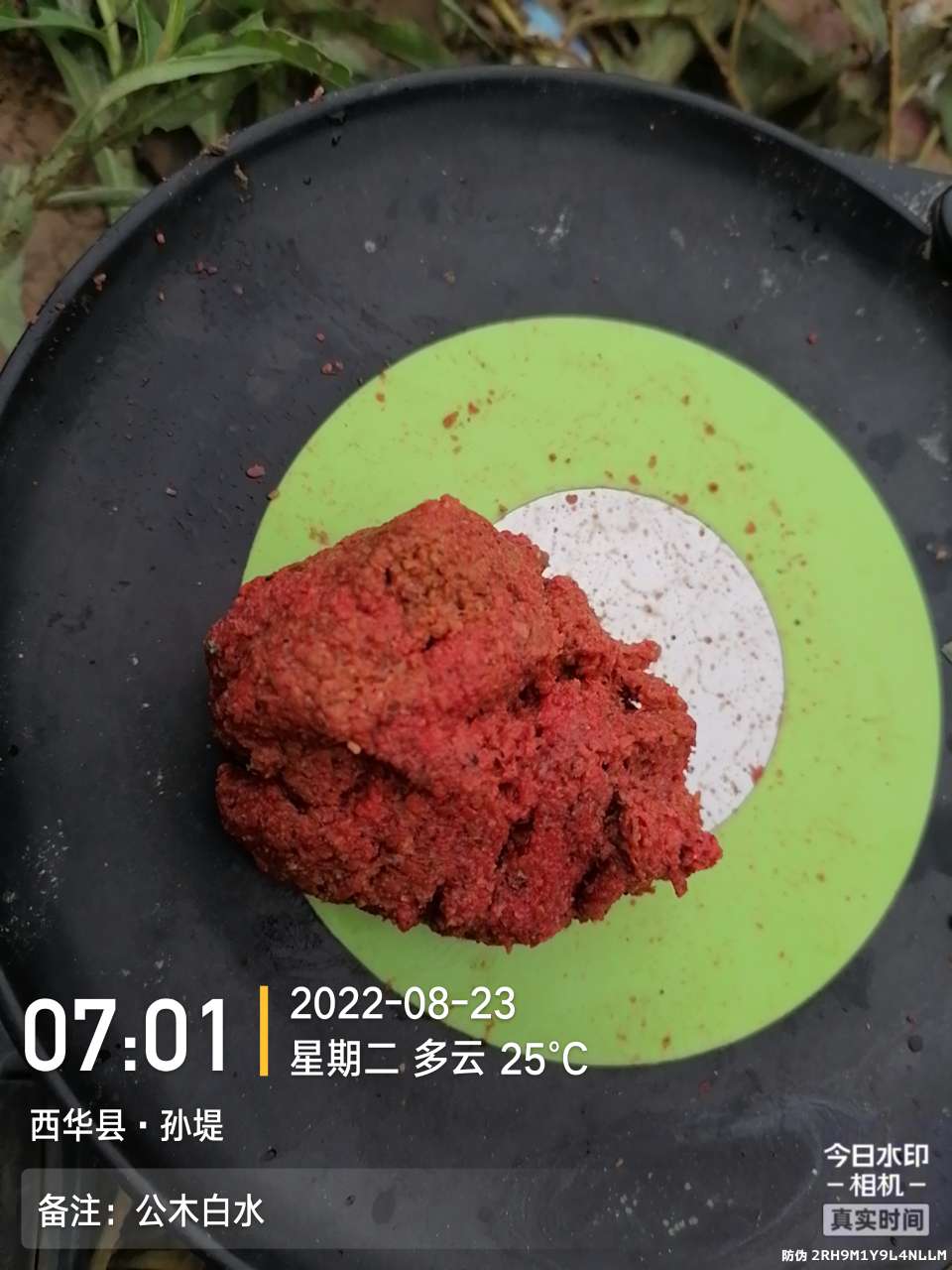 8月里面的鱼怎么钓,钓位选什么鱼最好