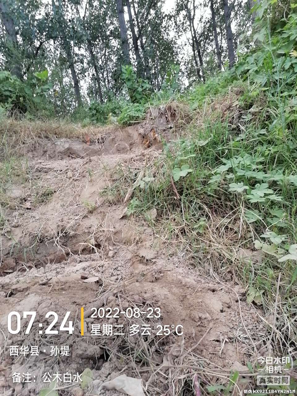 8月里面的鱼怎么钓,钓位选什么鱼最好