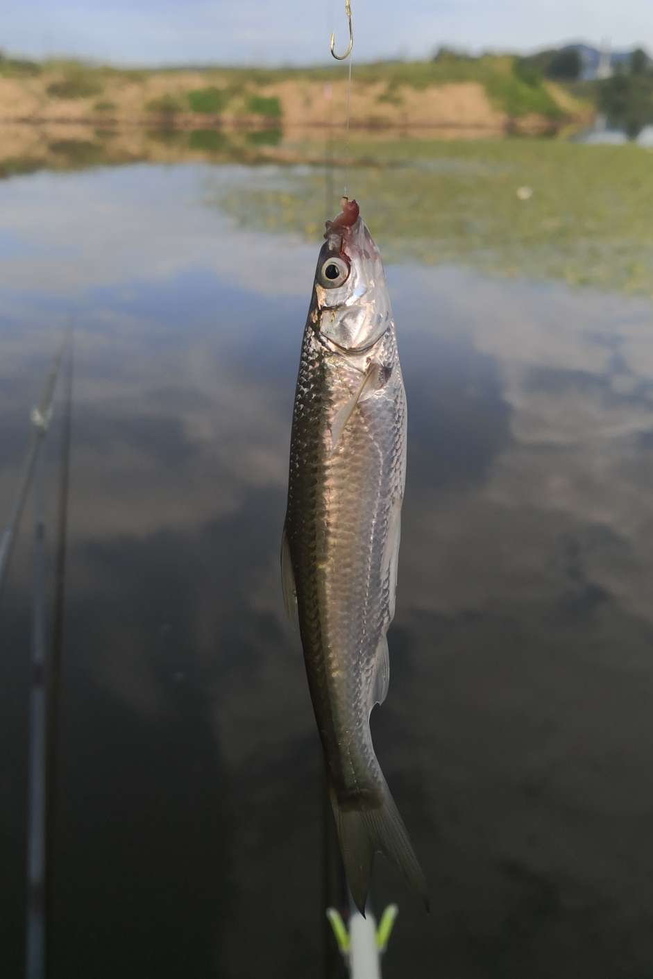 海兰湖野钓好去处,海兰湖钓鱼最佳地点