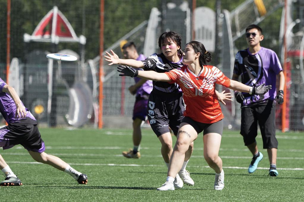 飞盘北京公开赛,飞盘活动北京