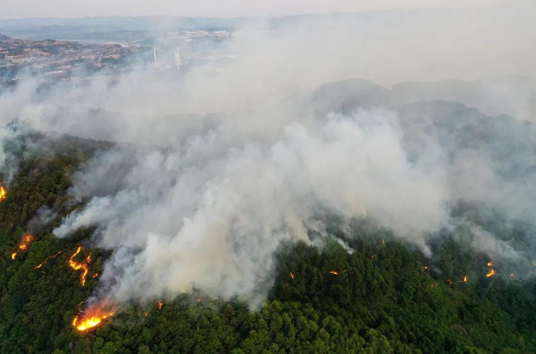 临危不惧全力以赴扑救山火,义不容辞赴前线