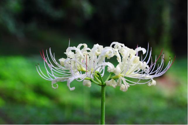 在九月要干什么工作好,九月最想做的事情