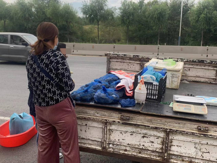 售卖河蟹,路边卖盘锦河蟹