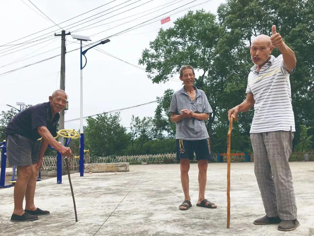 这个村,一条小黑狗像影子一样跟着我
