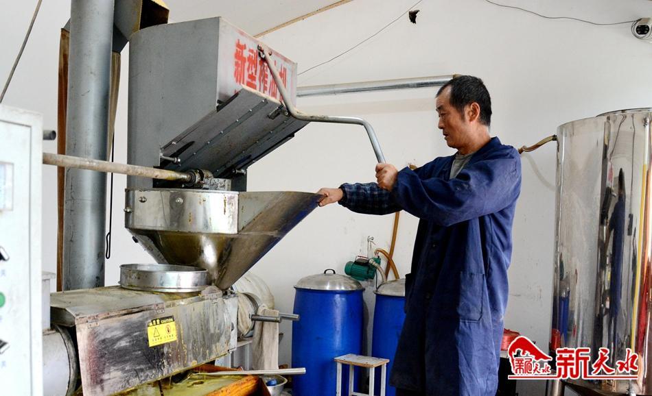 武山县*庄大**村：小油坊“榨”出集体经济大未来