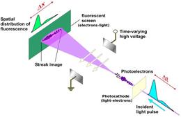 五匹马同时冲线，奖金怎么分？