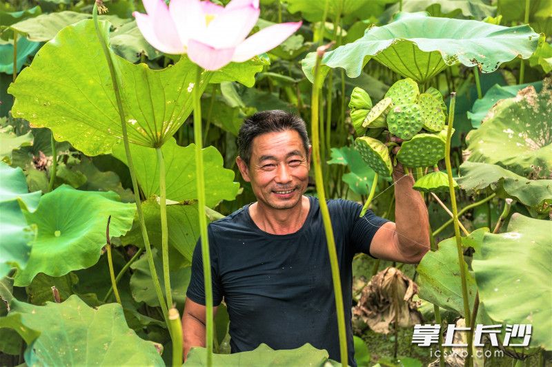 工业强市幸福宁乡,宁乡市工业强市挺起发展脊梁