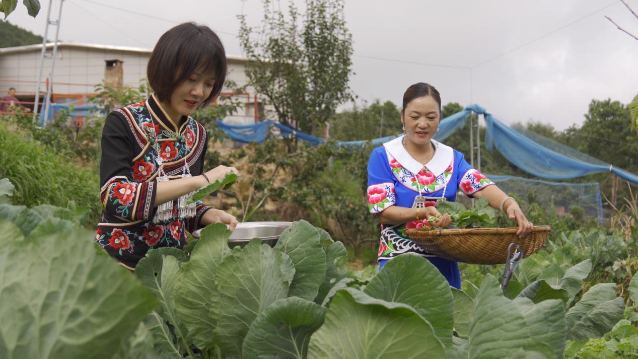 牟定农家乐和休闲农庄,牟定世外桃源山庄