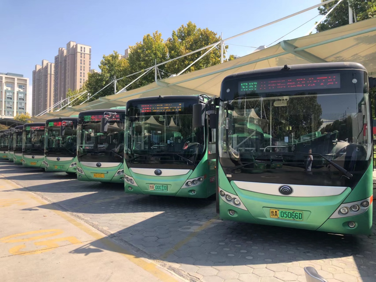 国庆假期近郊游，都有哪些轻松玩遍绿城的公交线路？