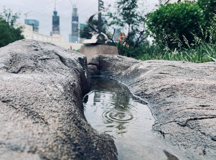 山东十大最美校园,山东最美校园大学