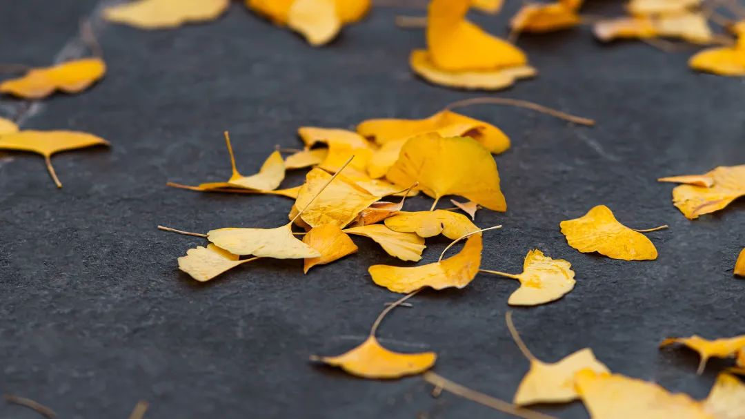 老俞讲人生感悟,老俞闲话人生