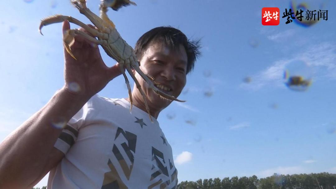 辛巴辛有志谈助农,辛巴辛有志助农视频