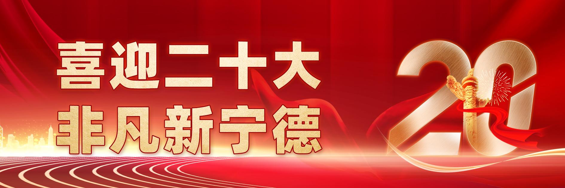 黄沟非凡十年,非凡十年飞跃新如皋