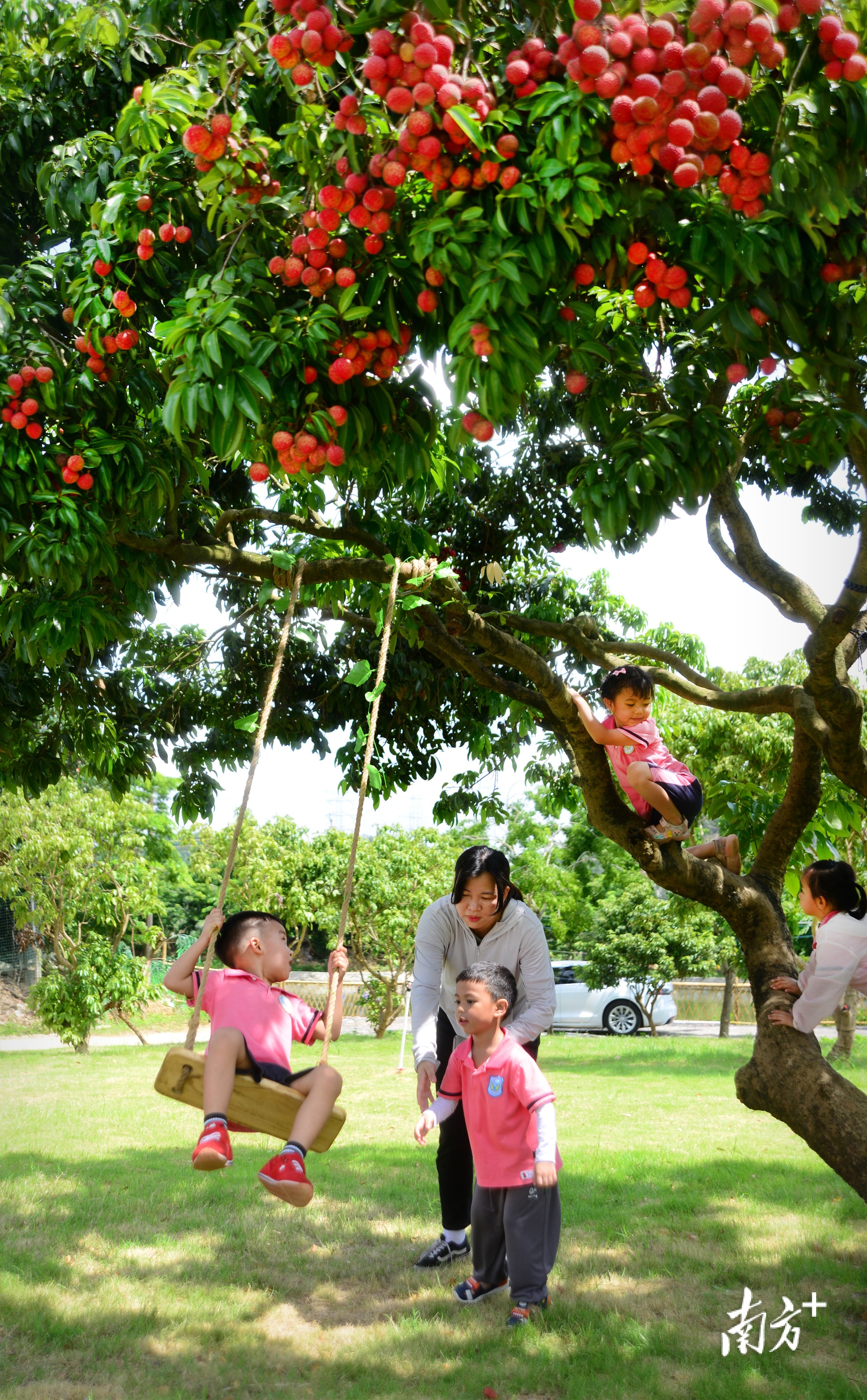 非凡十年美丽乡村发展纪实,非凡十年苏州美丽乡村焕新绽放