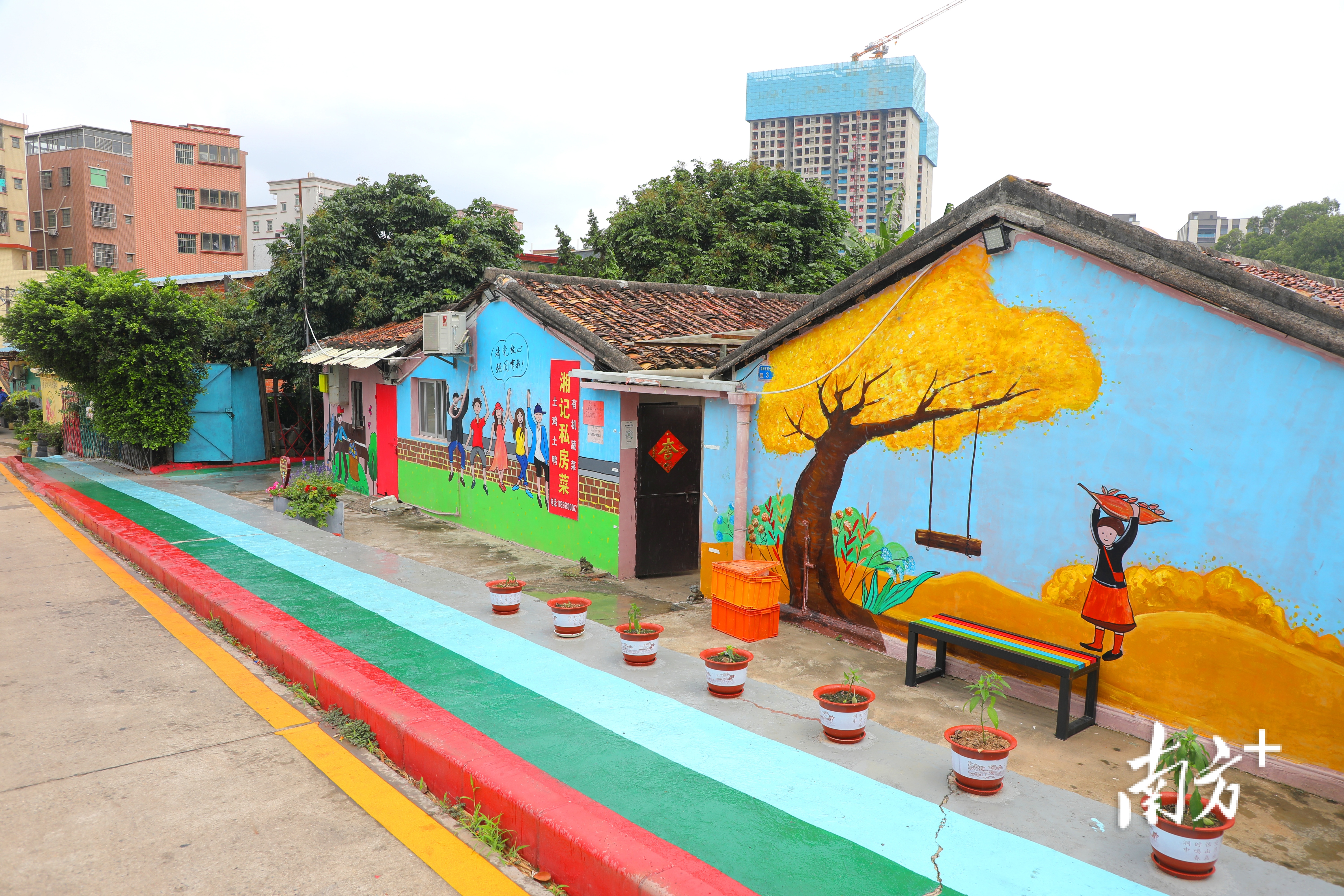 非凡十年美丽乡村发展纪实,非凡十年苏州美丽乡村焕新绽放