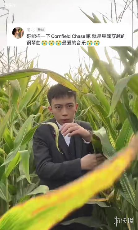 在星际穿越的玉米地摇花手,成了新的互联网荒诞艺术
