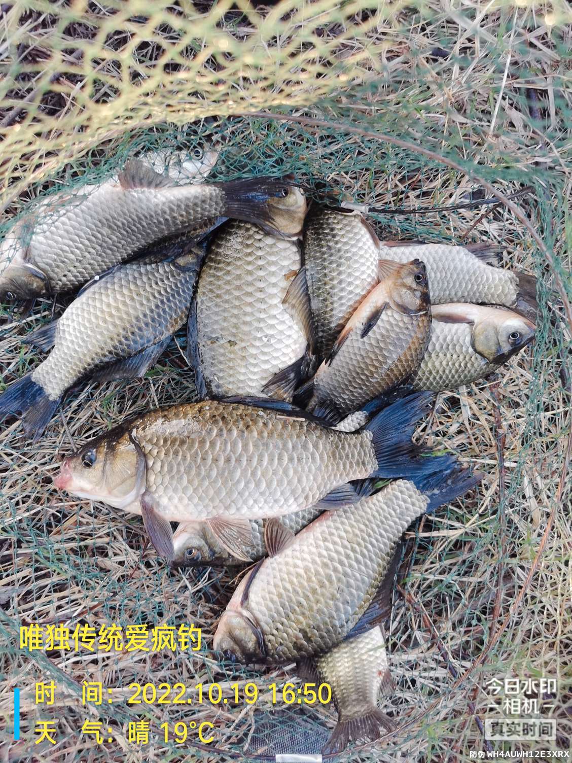 传统钓有风浪,传统钓线组如何应对风浪