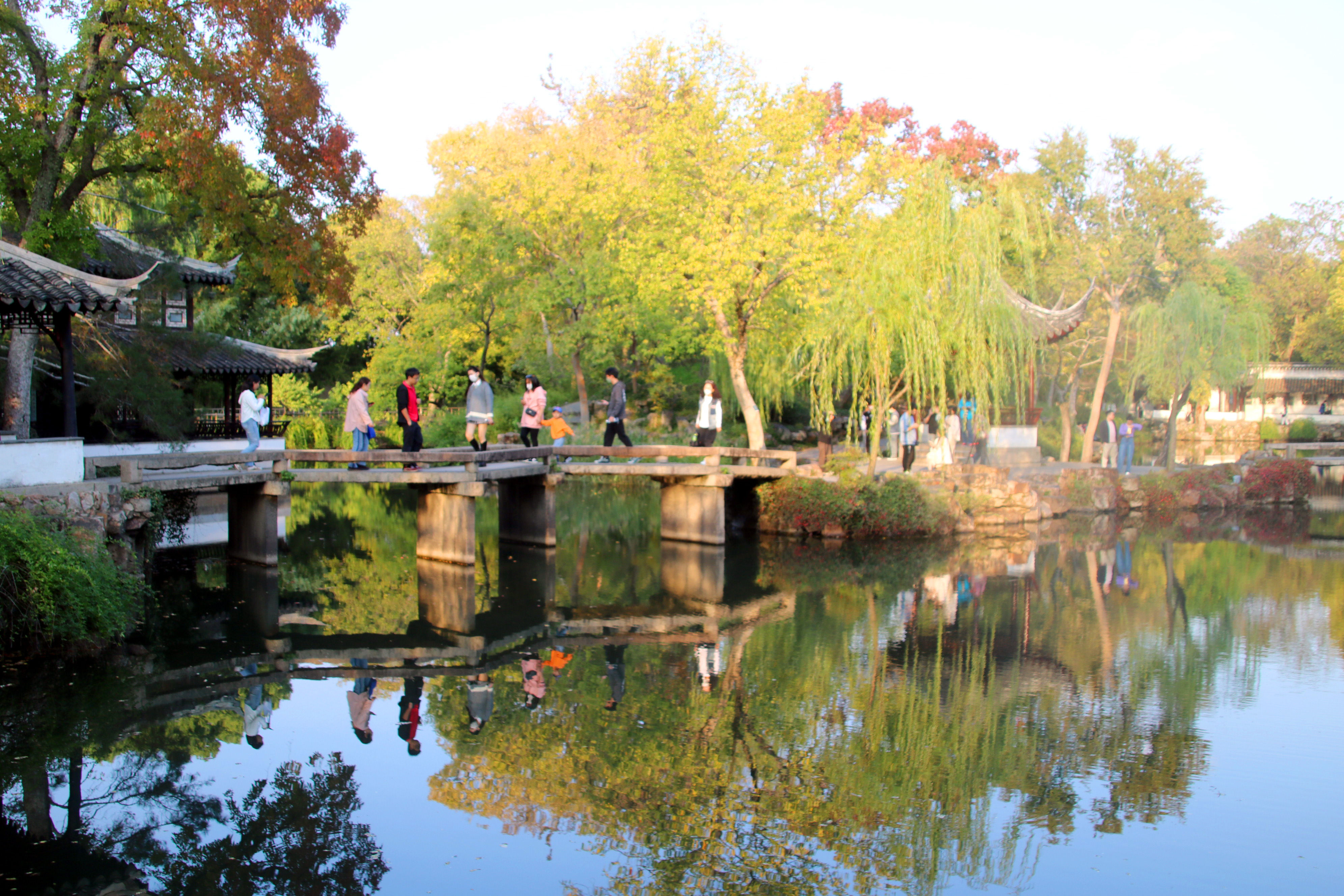 拙政园秋色毕致中,苏州秋色拙政园美景