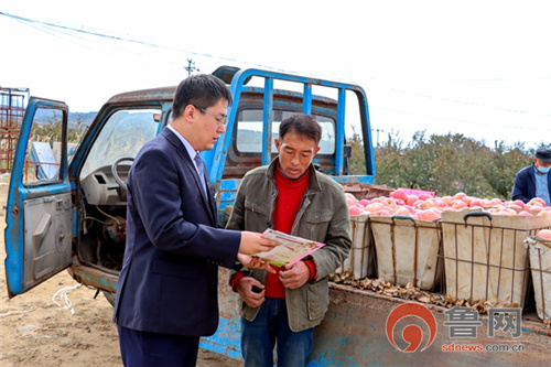银行助力果农苹果丰收季,农商银行丰收季