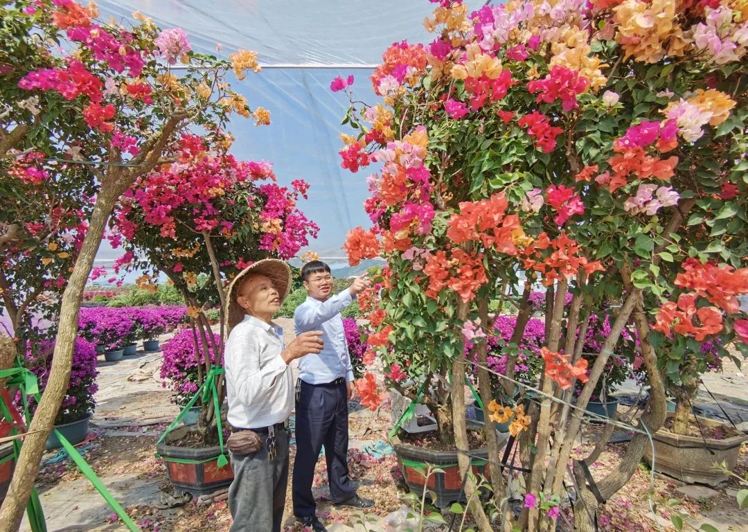 非凡十年看泸酒巨变,非凡十年出彩