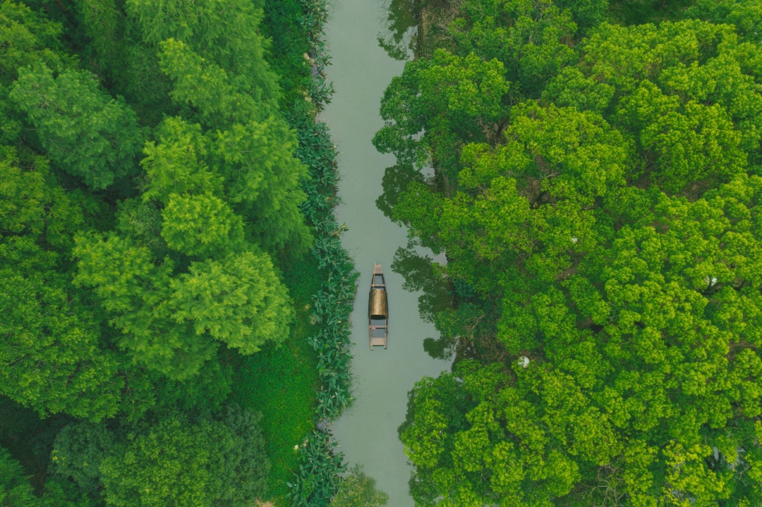 这样美的吴江，从何而来？