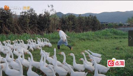 人是越来越红了，精神越来越不“正常”？
