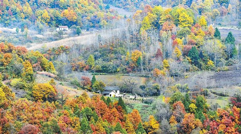 古道之上，一架山岭的传奇（报告文学）