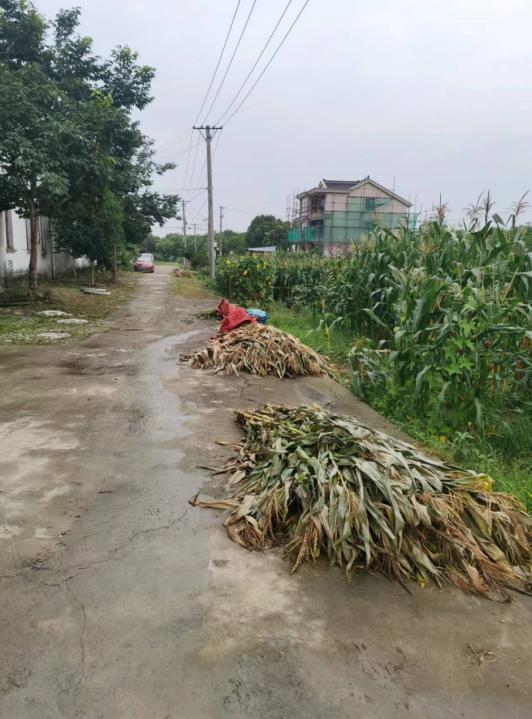 常熟市梅李镇：以聚沙成塔之力，创人居环境之美