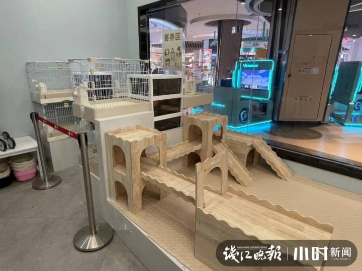 一只兔子50元40只,一只兔子500元