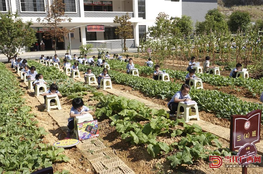 南宁市义务教育均衡发展,广西义务教育均衡基本条件