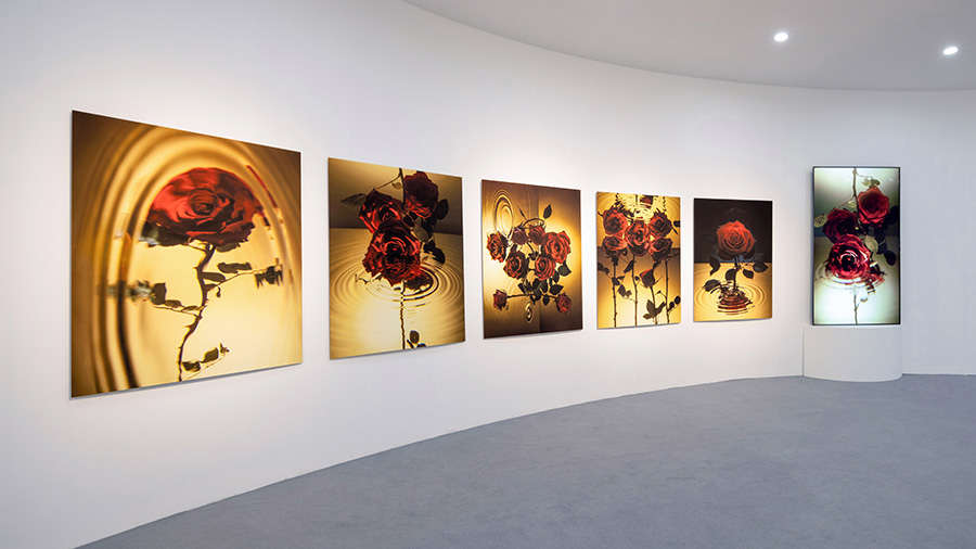 兰蔻菁纯艺术展预热,兰蔻菁纯艺术之夜