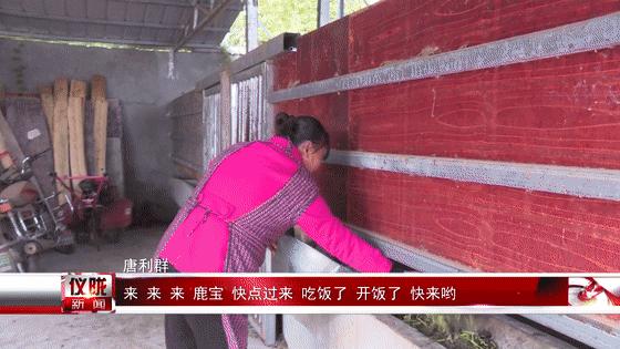 一鹿高歌书摘,一鹿高歌名录